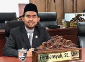 Ketua Fraksi PSI DPRD Tangerang Selatan, Ferdiansyah.