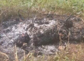 Penemuan mayat terbakar di Cisauk.