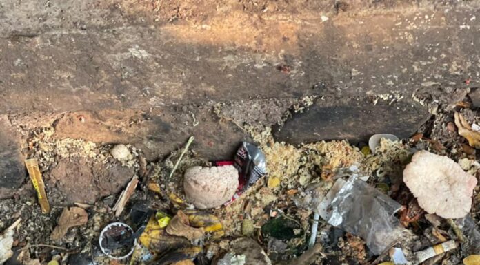 Geger! Jasad Bayi Dibuang di Tempat Sampah Tanpa Kain Penutup di Pamulang Jasad bayi yang dibuang di Jalan Padjajaran, Pamulang, Tangerang Selatan.